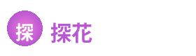探花
